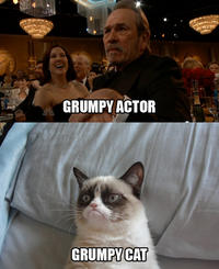 Grumpy Cat
