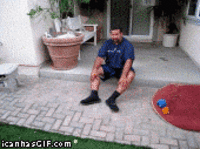 Dogs
