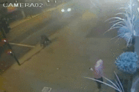 FAIL