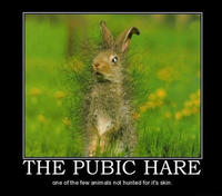 Demotivational Posters