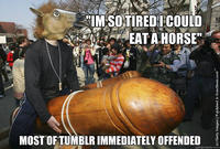 2013 Horse Meat Scandal