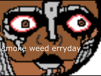 Smoke Weed Everyday