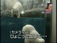 FAIL