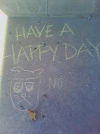 Grumpy Cat