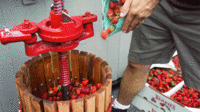 Cinemagraphs