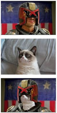 Grumpy Cat