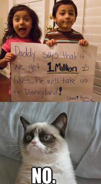 Grumpy Cat