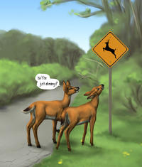 Furries