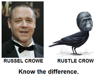 That Really Rustled My Jimmies