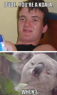 [10] Guy
