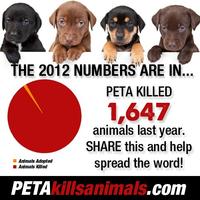People for the Ethical Treatment of Animals (PETA)