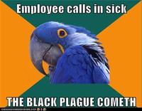 Paranoid Parrot