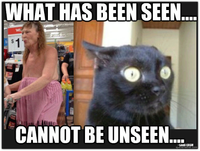 What Has Been Seen Cannot Be Unseen