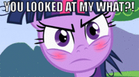Pony Reactions