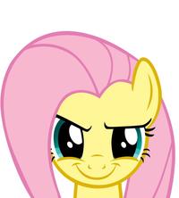 Pony Reactions