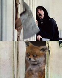 Stoned Fox (Упоротая лиса)