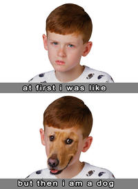 Reaction Faces