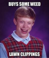 Bad Luck Brian