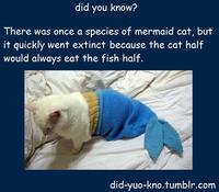Did You Know?