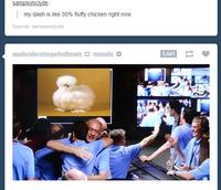 Peyton's Fluffy Chicken