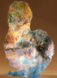 Peyton's Fluffy Chicken