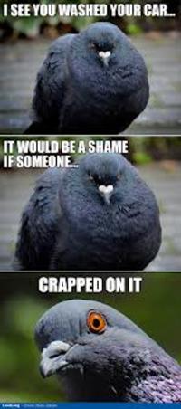 It Would Be a Shame If...