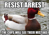Actual Advice Mallard