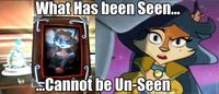 What Has Been Seen Cannot Be Unseen