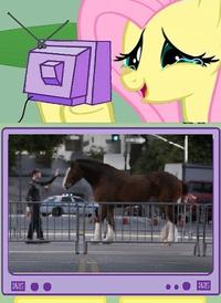 Fluttercry / Characters Watching Tv