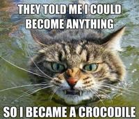 They Told Me I Could Be Anything I Wanted
