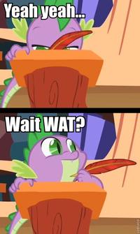 Pony Reactions