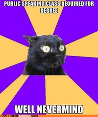 Anxiety Cat