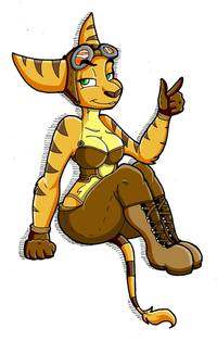 Rule 63