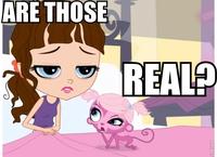 Littlest Pet Shop