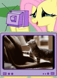 My Little Pony: Friendship is Magic