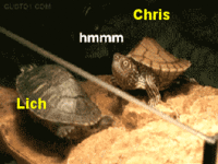 2c6.gif