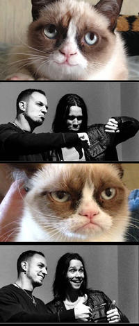 Grumpy Cat