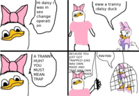 Dolan