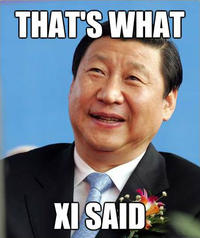 That S What She Said Know Your Meme That S What Xi Said China Jinping Forehead Professional