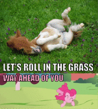 My Little Pony: Friendship is Magic