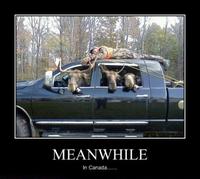 Meanwhile in X