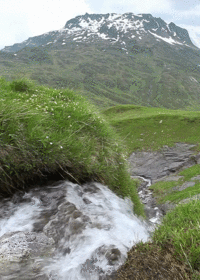 Cinemagraphs