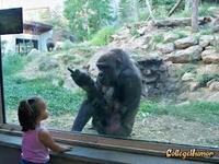 Ruined Childhood
