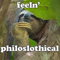 Sloths