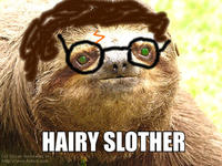 Sloths