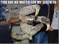 Sloths