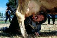 Milking
