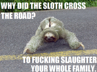 Sloths