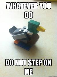 Actual Advice Mallard