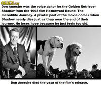 Ruined Childhood